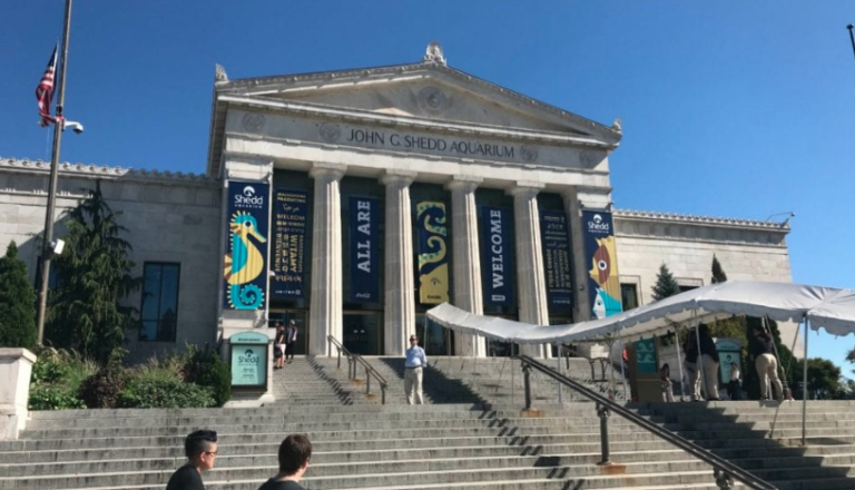 Things to Know about Shedd Aquarium