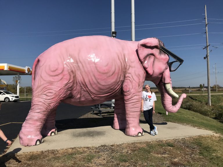 Giant Pink Elephant:  DeForest Wisconsin