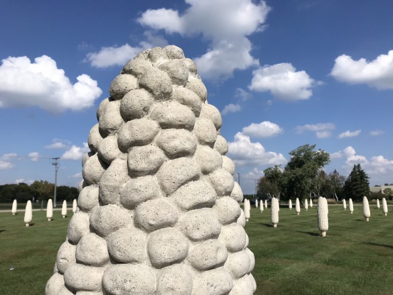 Concrete Field of Corn in Ohio - State by State Travel
