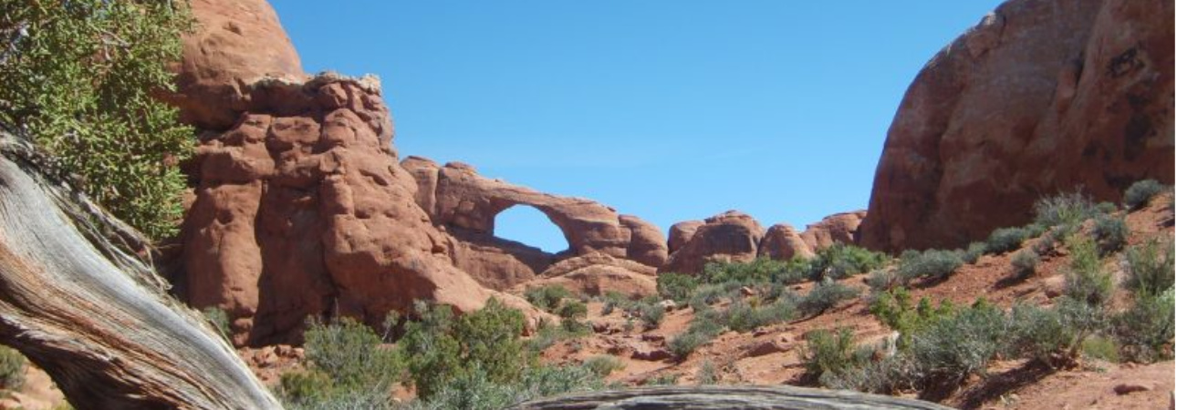 Ultimate Guide to Arches National Park