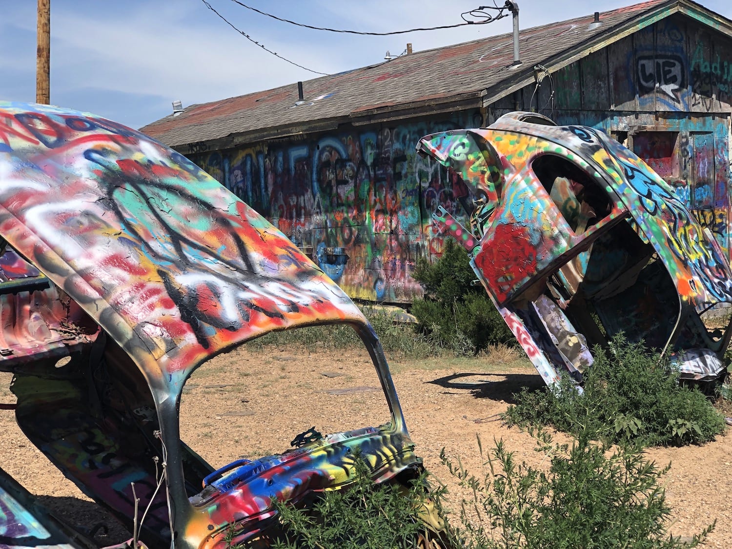 What to Expect at Slug Bug Ranch - State by State Travel