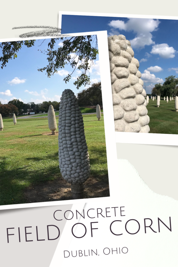 Concrete Field of Corn in Ohio - State by State Travel